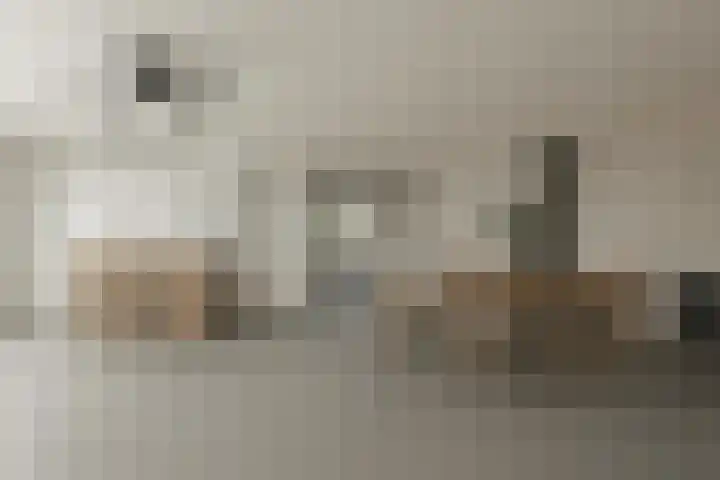 Kreeklaan 6 's-Gravenzande thumbnail 6