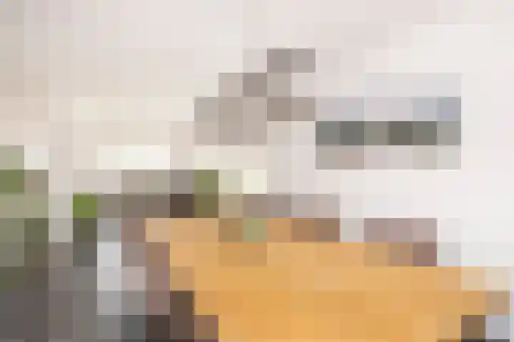 Kreekmonde 1 Nieuwegein thumbnail 11