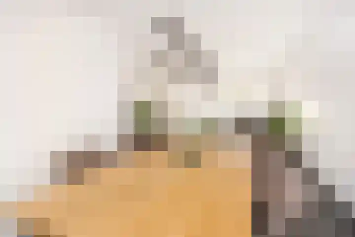 Kreekmonde 1 Nieuwegein thumbnail 12