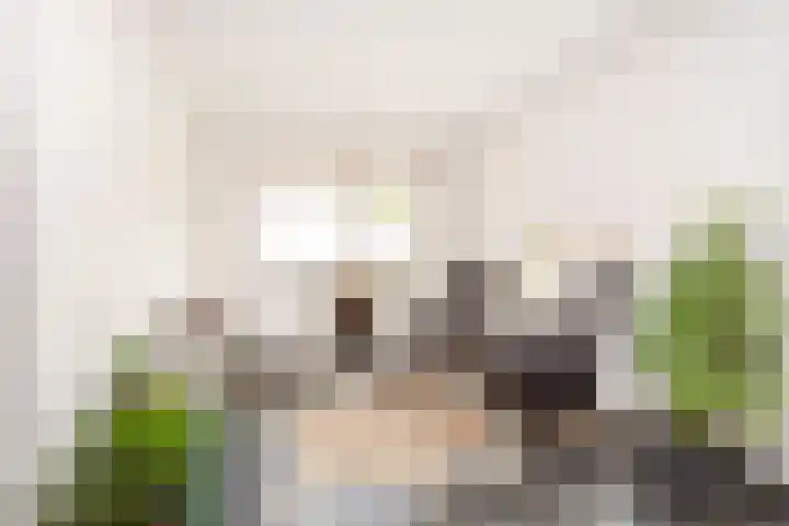 Kreekmonde 1 Nieuwegein thumbnail 15