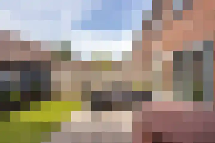 Kreekmonde 1 Nieuwegein thumbnail 19
