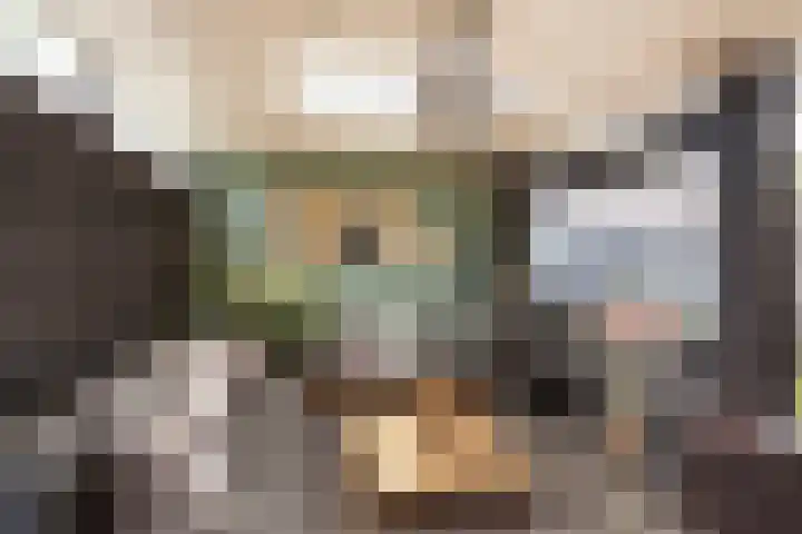 Kreekmonde 1 Nieuwegein thumbnail 22