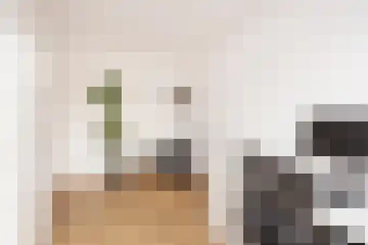Kreekmonde 1 Nieuwegein thumbnail 36