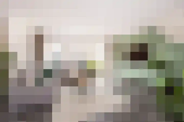 Kreekmonde 1 Nieuwegein thumbnail 5