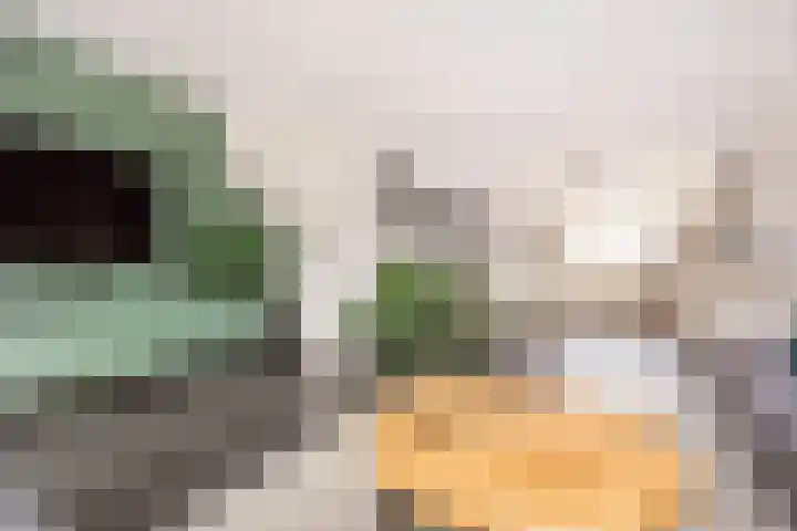 Kreekmonde 1 Nieuwegein thumbnail 7