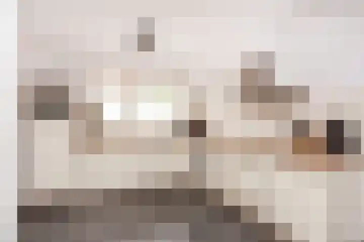 Kreekmonde 1 Nieuwegein thumbnail 9