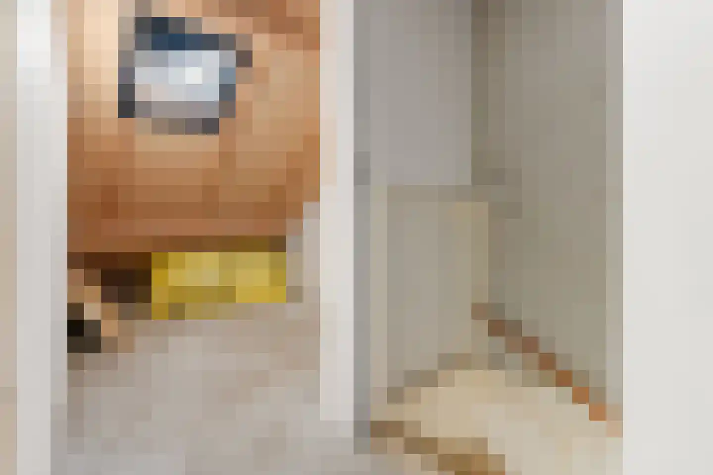 Kreekmonde 10 Nieuwegein thumbnail 31