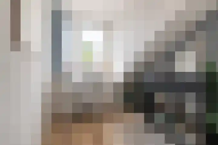 Kreekmonde 33 Nieuwegein thumbnail 23