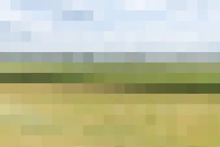 Kreekmonde 33 Nieuwegein thumbnail 32