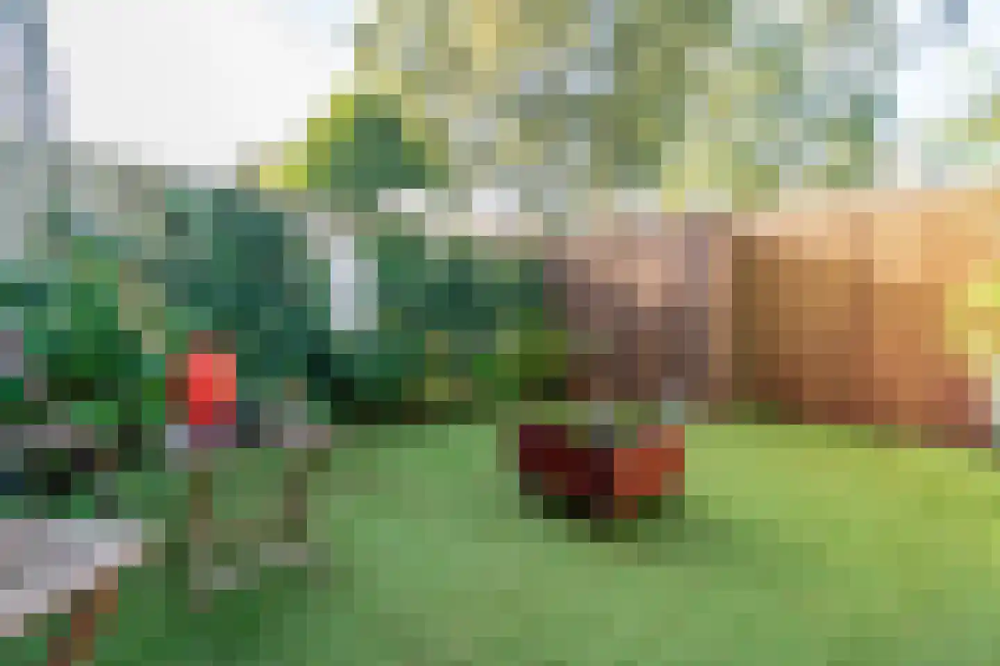 Kreekmonde 54 Nieuwegein thumbnail 26