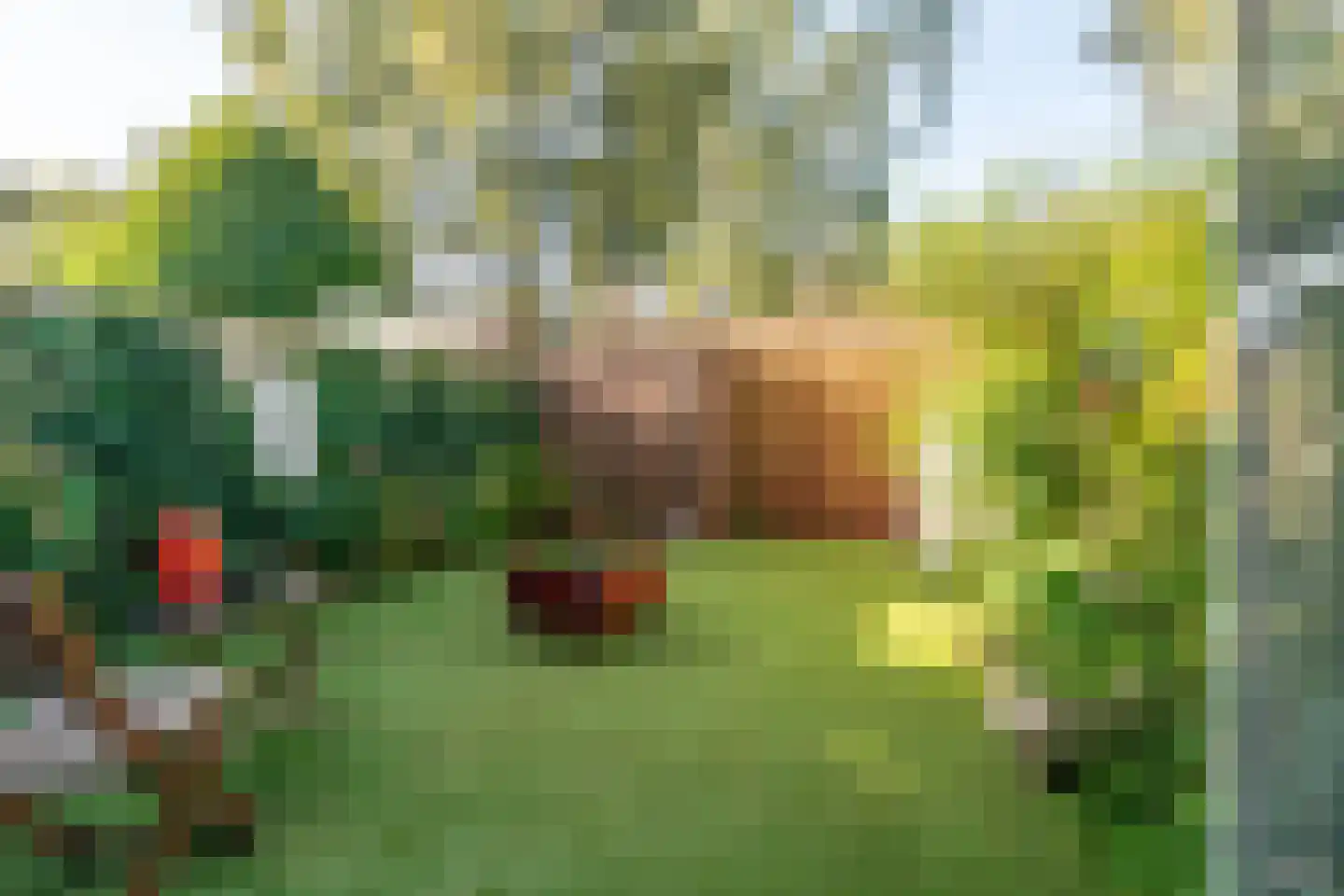 Kreekmonde 54 Nieuwegein thumbnail 28