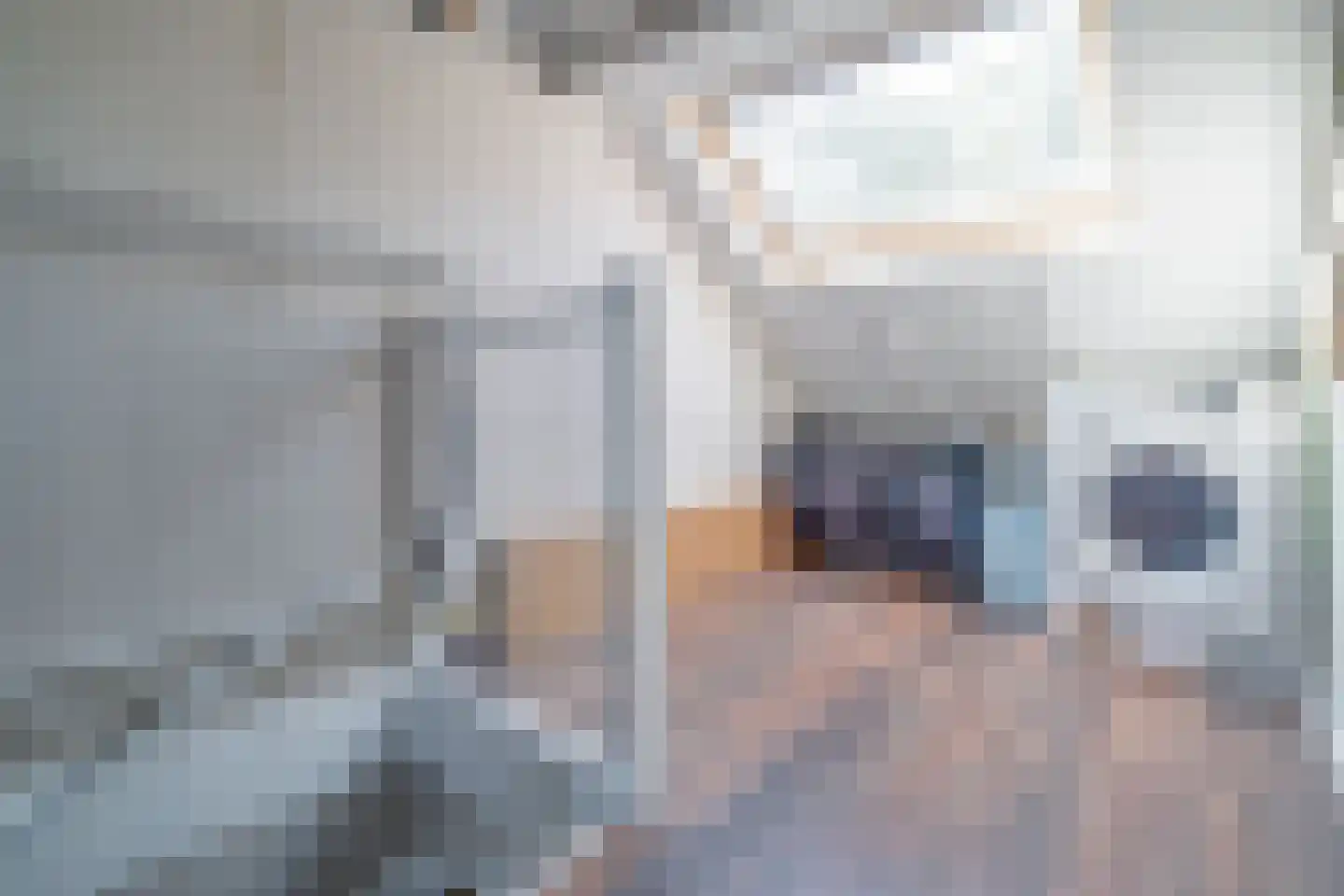 Kreekmonde 54 Nieuwegein thumbnail 50