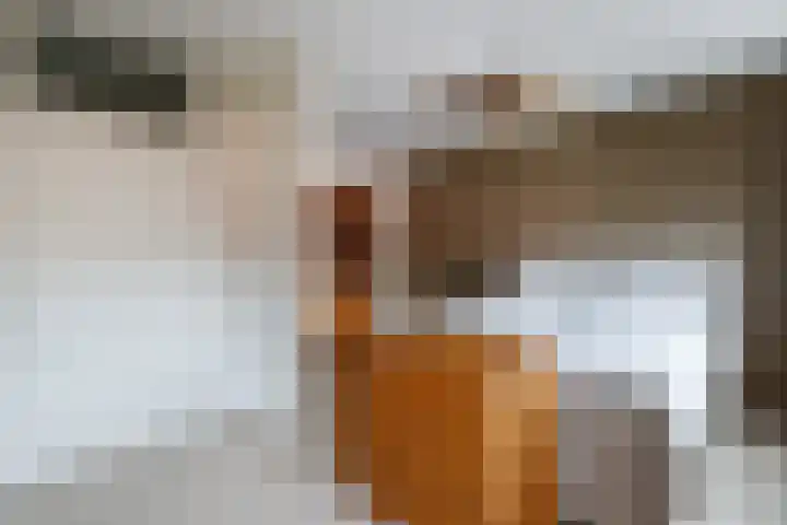 Kreekmonde 57 Nieuwegein thumbnail 12
