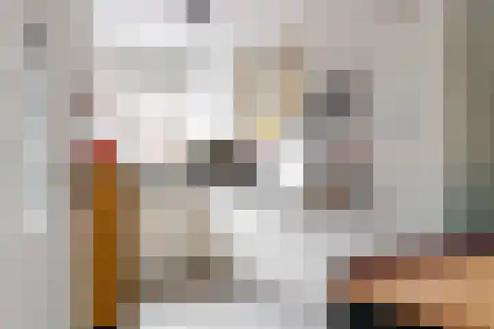 Kreekmonde 64 Nieuwegein thumbnail 8