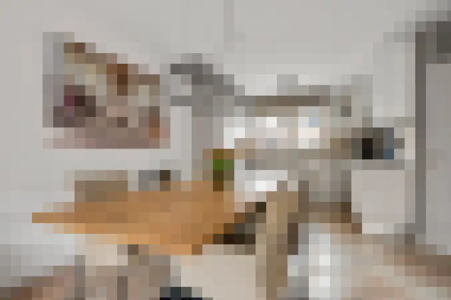 Kreekmonde 71 Nieuwegein thumbnail 13