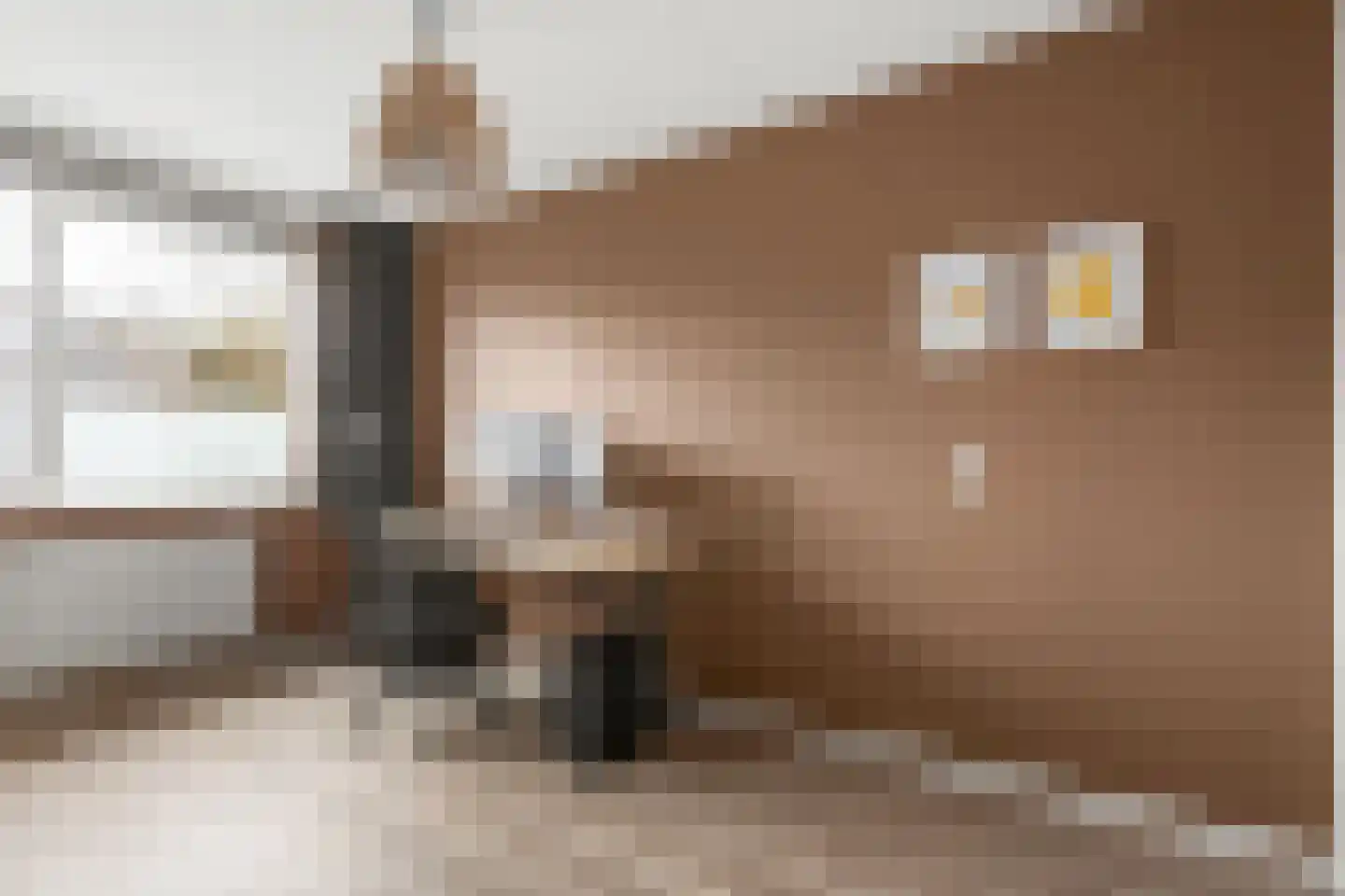Kreekmonde 71 Nieuwegein thumbnail 15