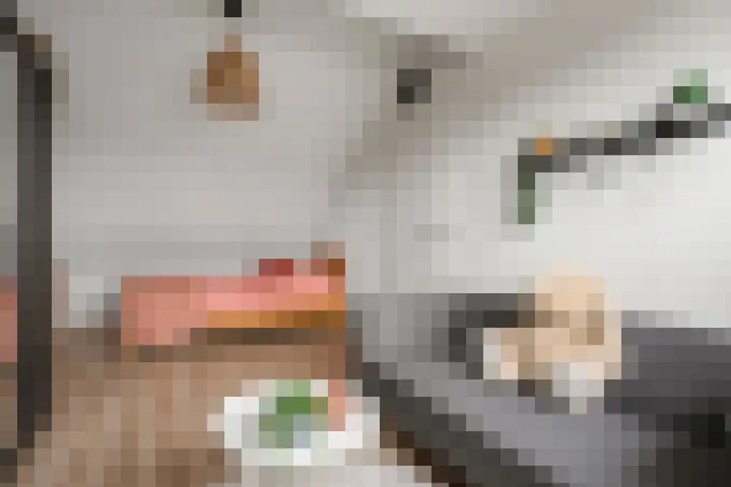 Kreekmonde 71 Nieuwegein thumbnail 22