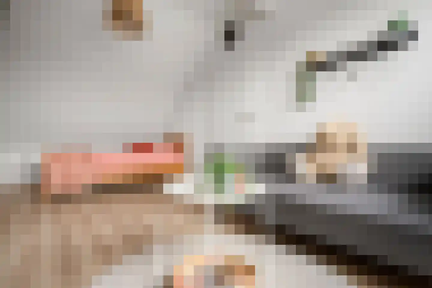 Kreekmonde 71 Nieuwegein thumbnail 23