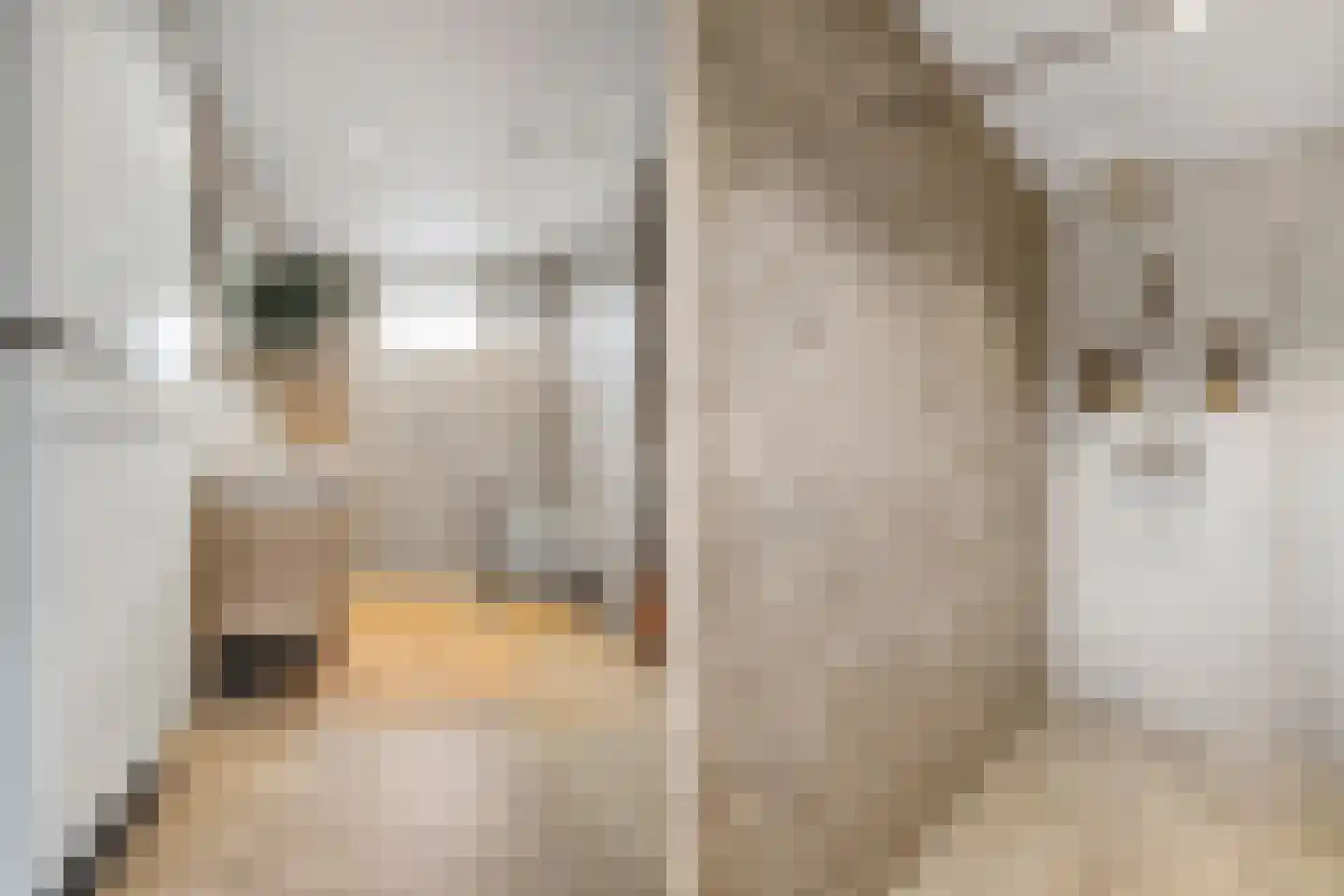 Kreekmonde 71 Nieuwegein thumbnail 4