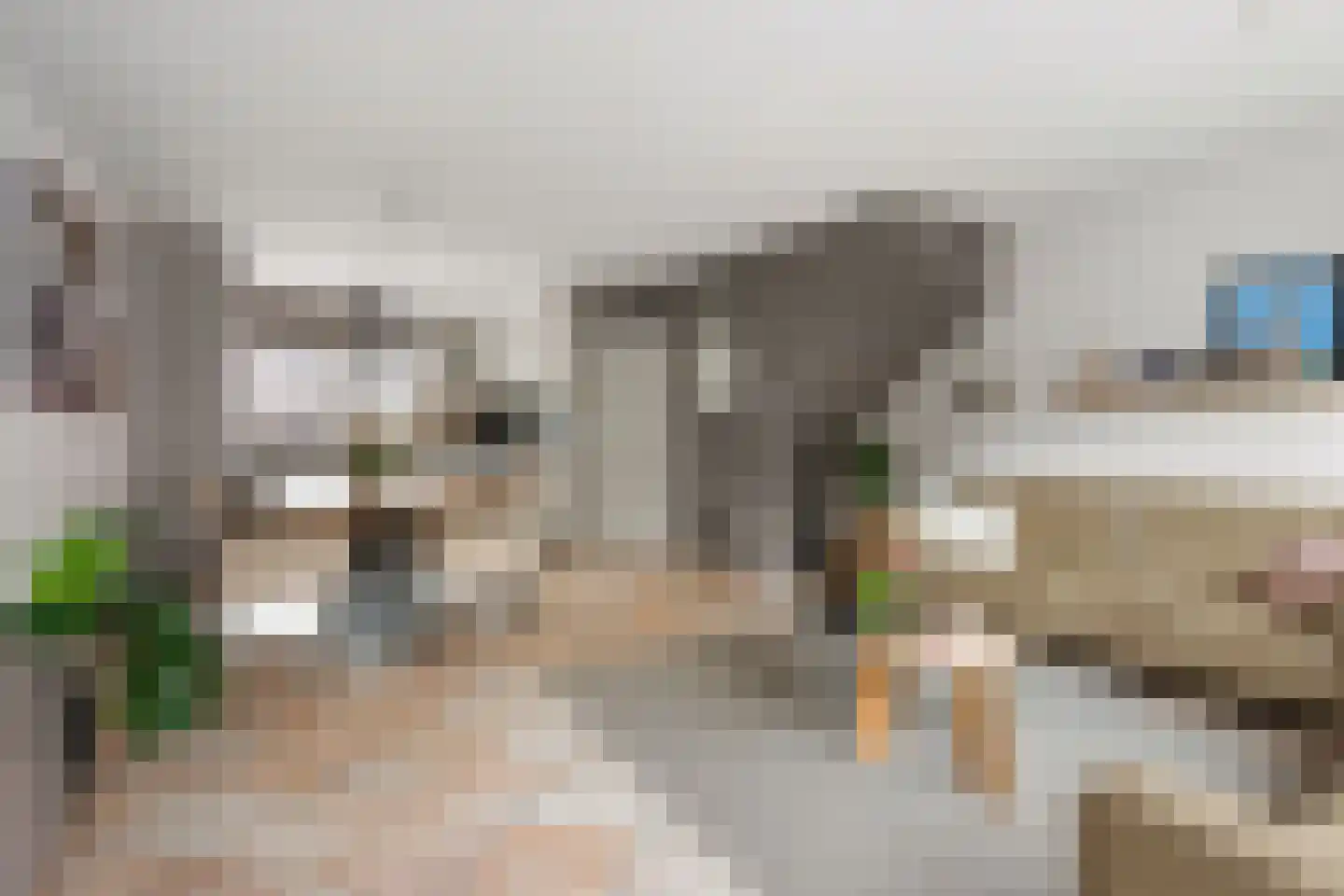 Kreekmonde 71 Nieuwegein thumbnail 9