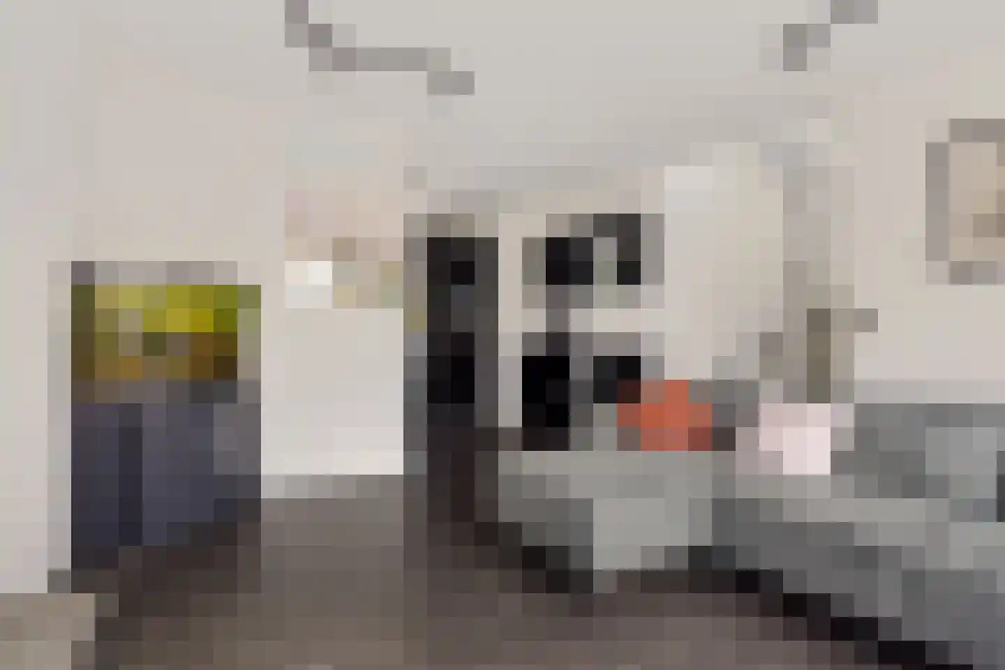 Kreekpad 25 Kats thumbnail 13