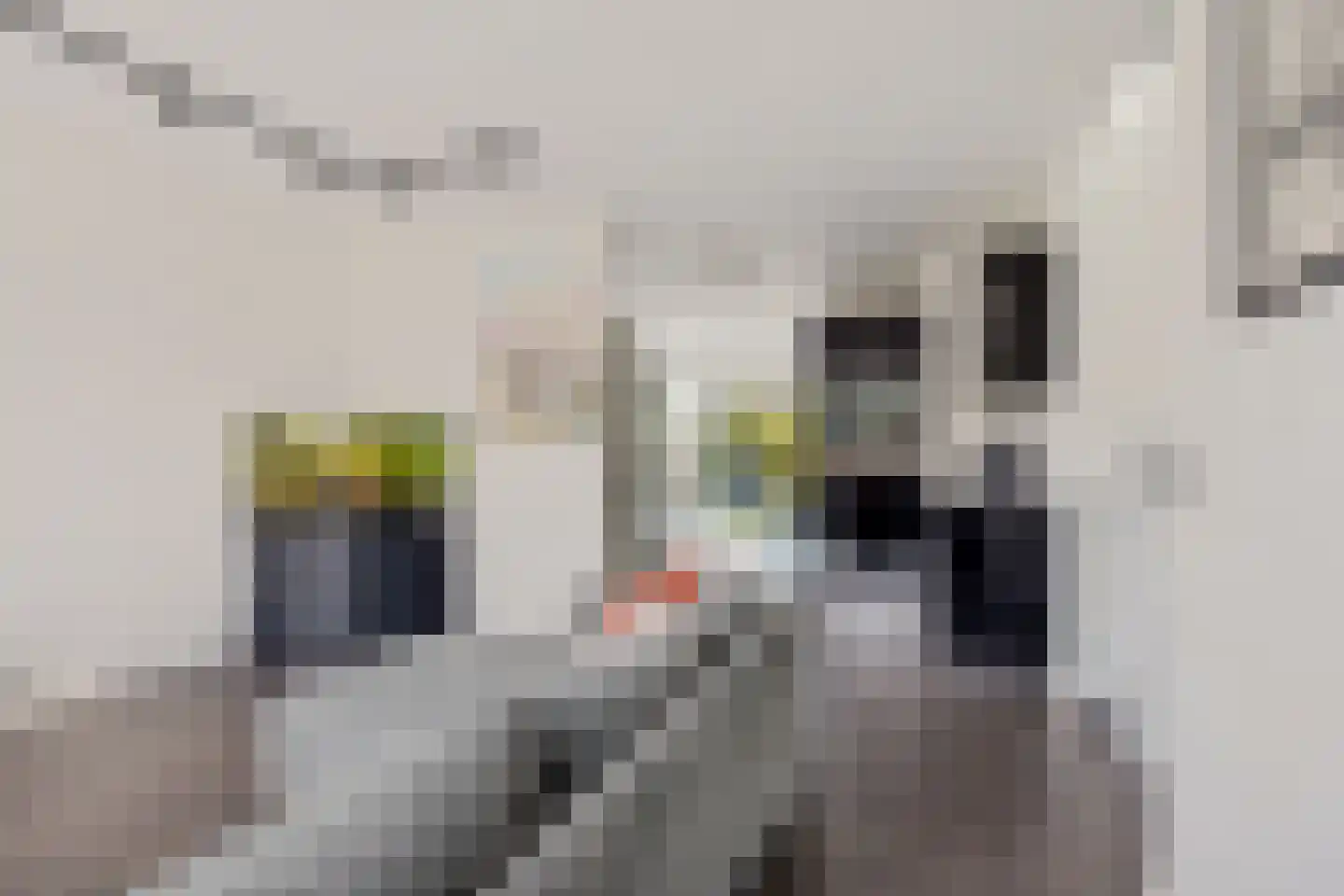Kreekpad 25 Kats thumbnail 14