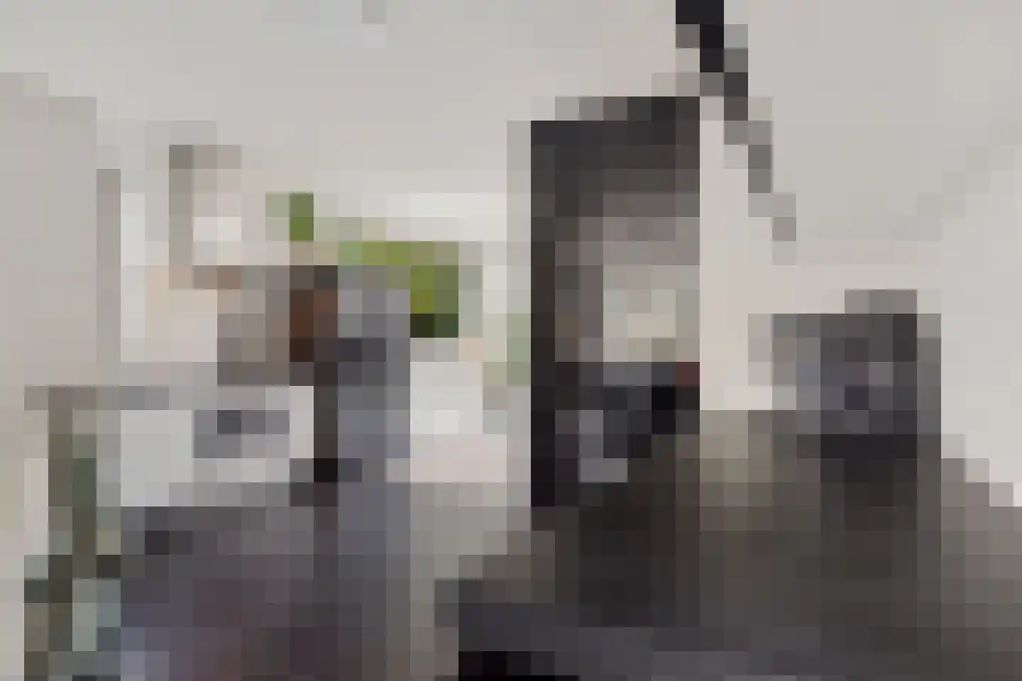 Kreekpad 25 Kats thumbnail 17
