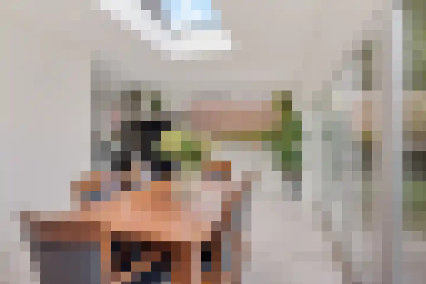 Kreekpad 25 Kats thumbnail 23