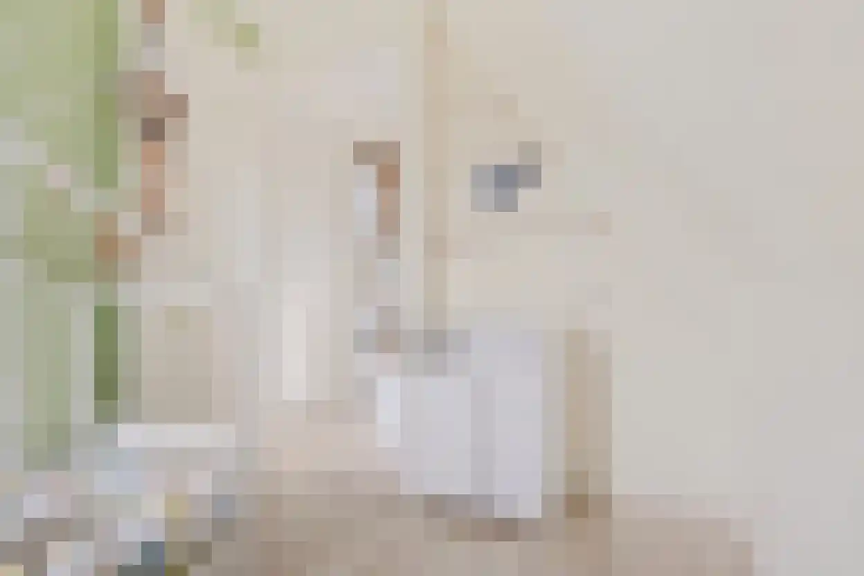 Kreekpad 25 Kats thumbnail 38