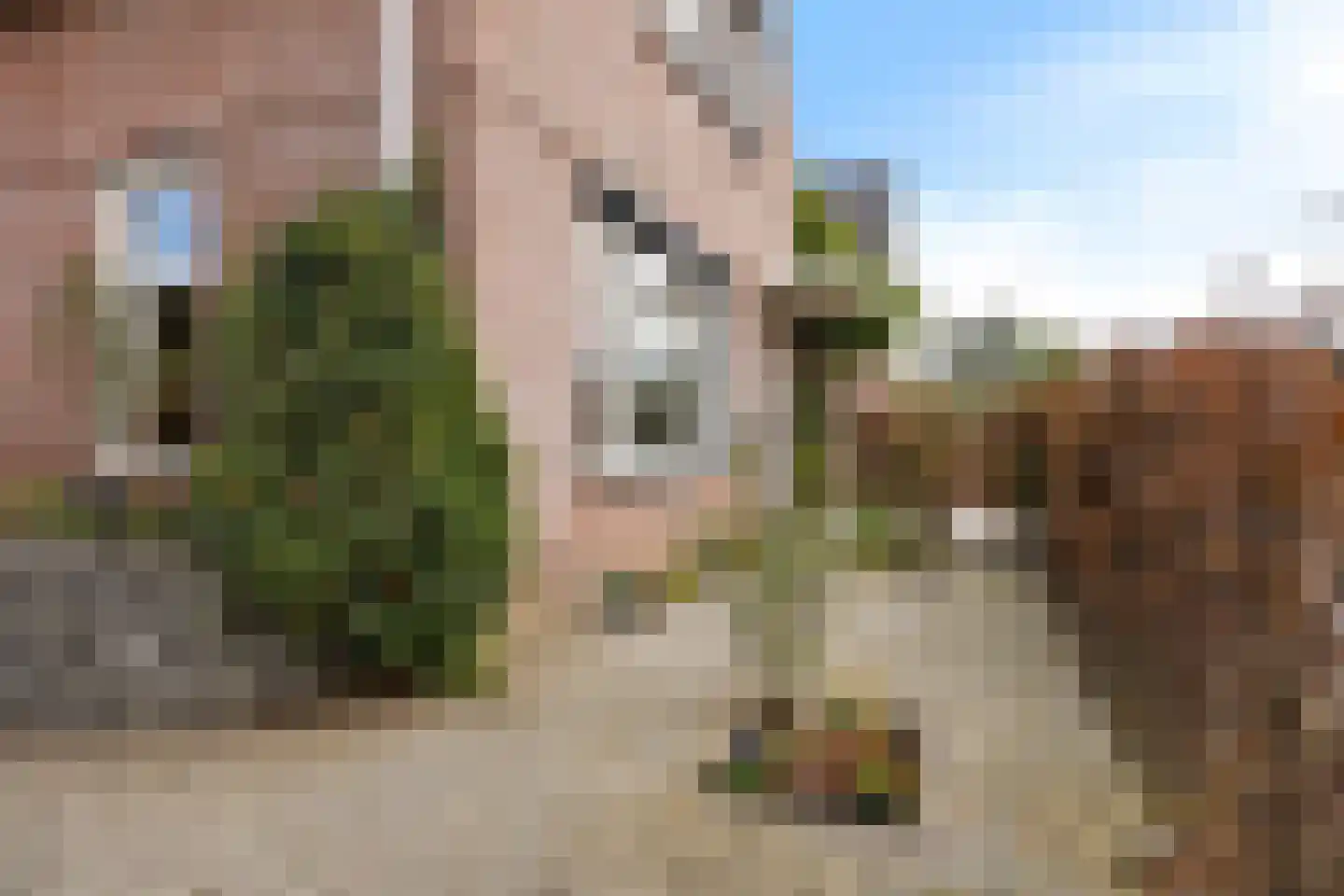 Kreekpad 25 Kats thumbnail 44