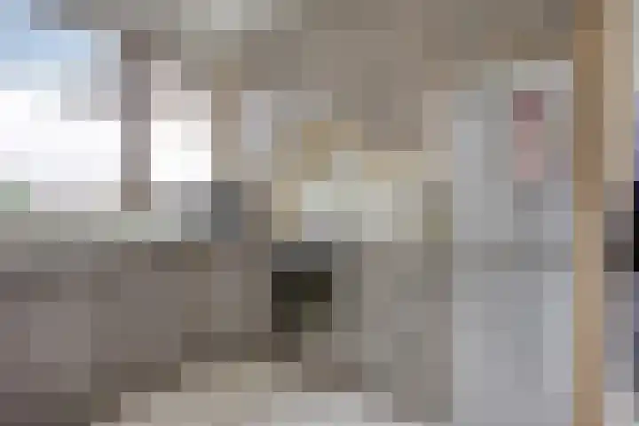 Kreekplein 11 Rotterdam thumbnail 11