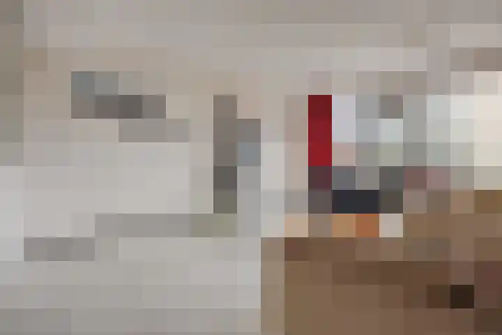 Kreekplein 11 Rotterdam thumbnail 6