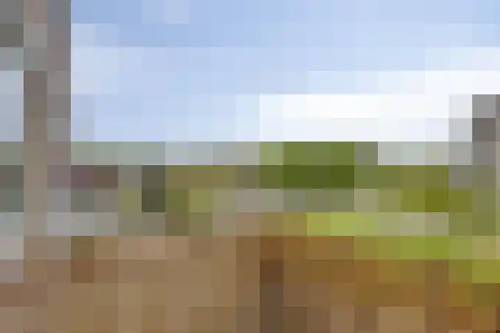 Kreekplein 25 Rotterdam thumbnail 23