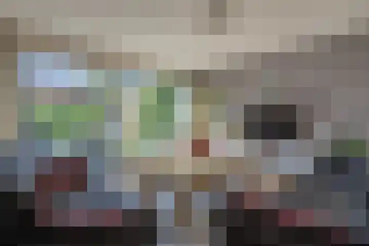 Kreekraklaan 22 Utrecht thumbnail 10