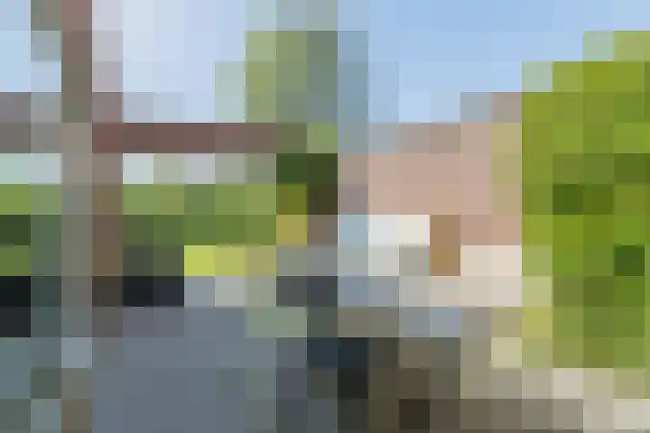 Kreekraklaan 22 Utrecht thumbnail 12