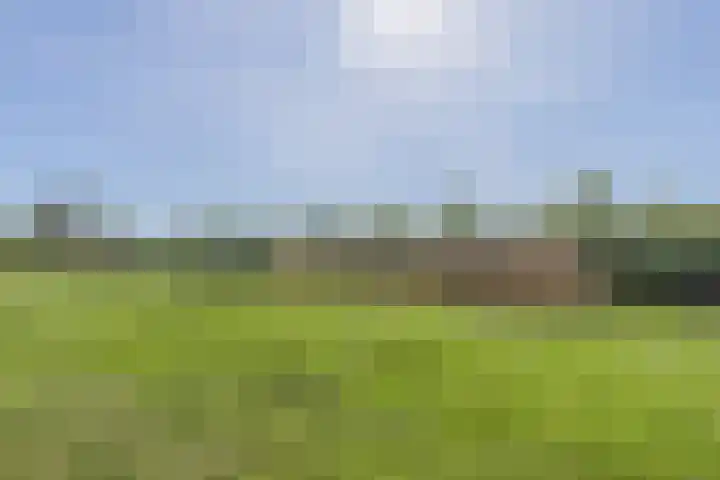 Kreekraklaan 22 Utrecht thumbnail 14