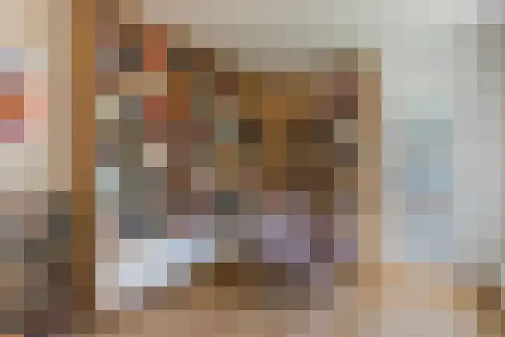 Kreekraklaan 22 Utrecht thumbnail 24