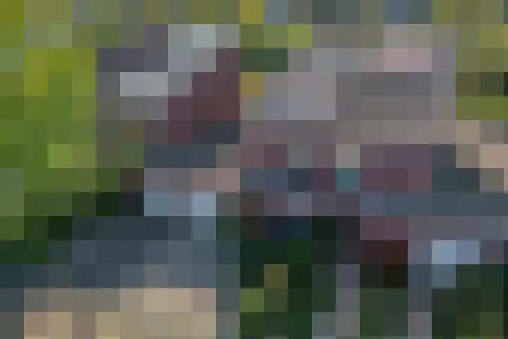 Kreekraklaan 22 Utrecht thumbnail 46