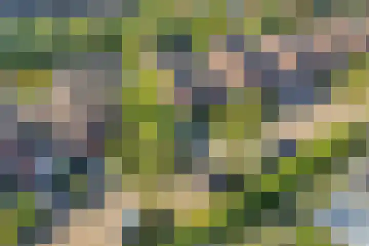 Kreekraklaan 22 Utrecht thumbnail 47