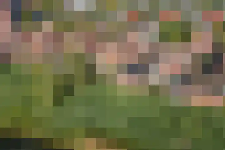 Kreekraklaan 22 Utrecht thumbnail 48