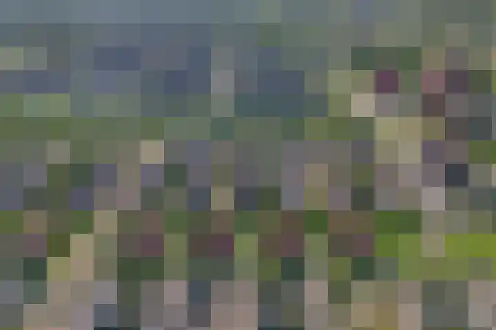Kreekraklaan 22 Utrecht thumbnail 51