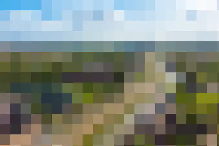 Kreekraklaan 22 Utrecht thumbnail 52