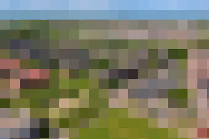 Kreekraklaan 22 Utrecht thumbnail 53