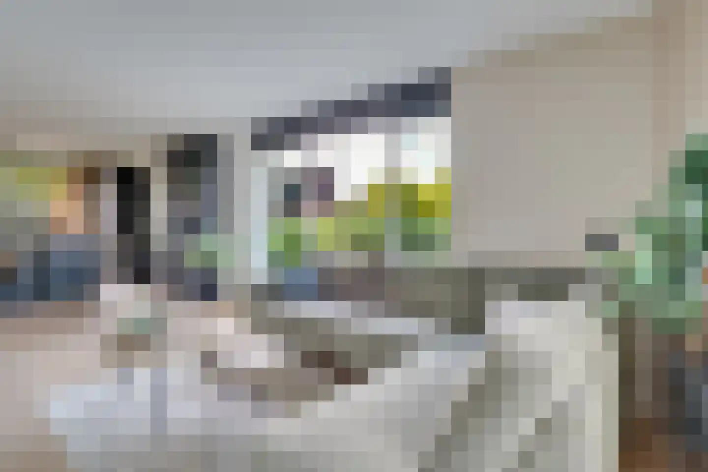 Kreekraklaan 50 Utrecht thumbnail 18