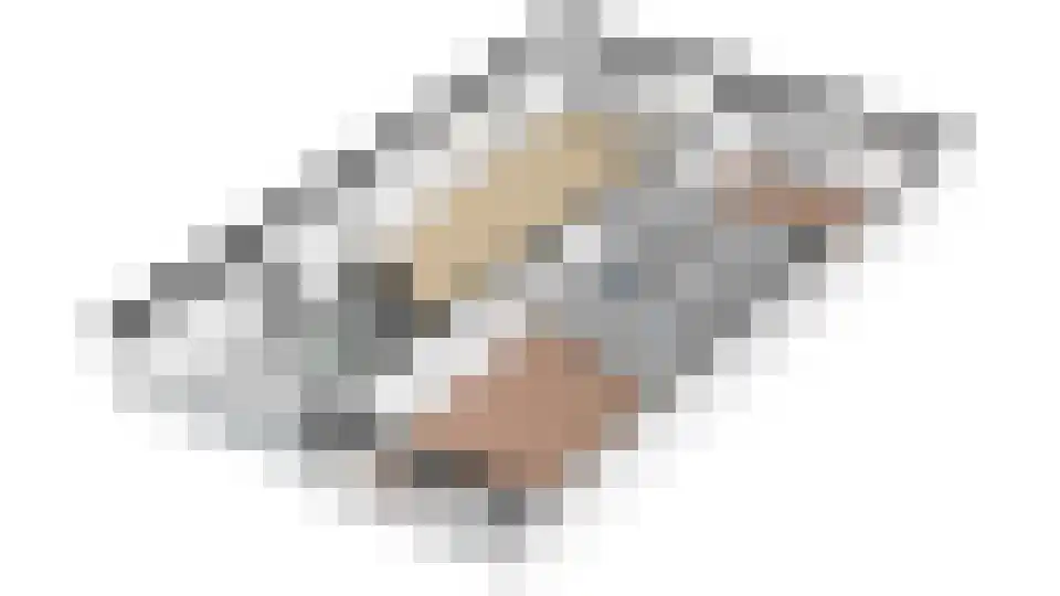 Kreekraklaan 50 Utrecht thumbnail 48
