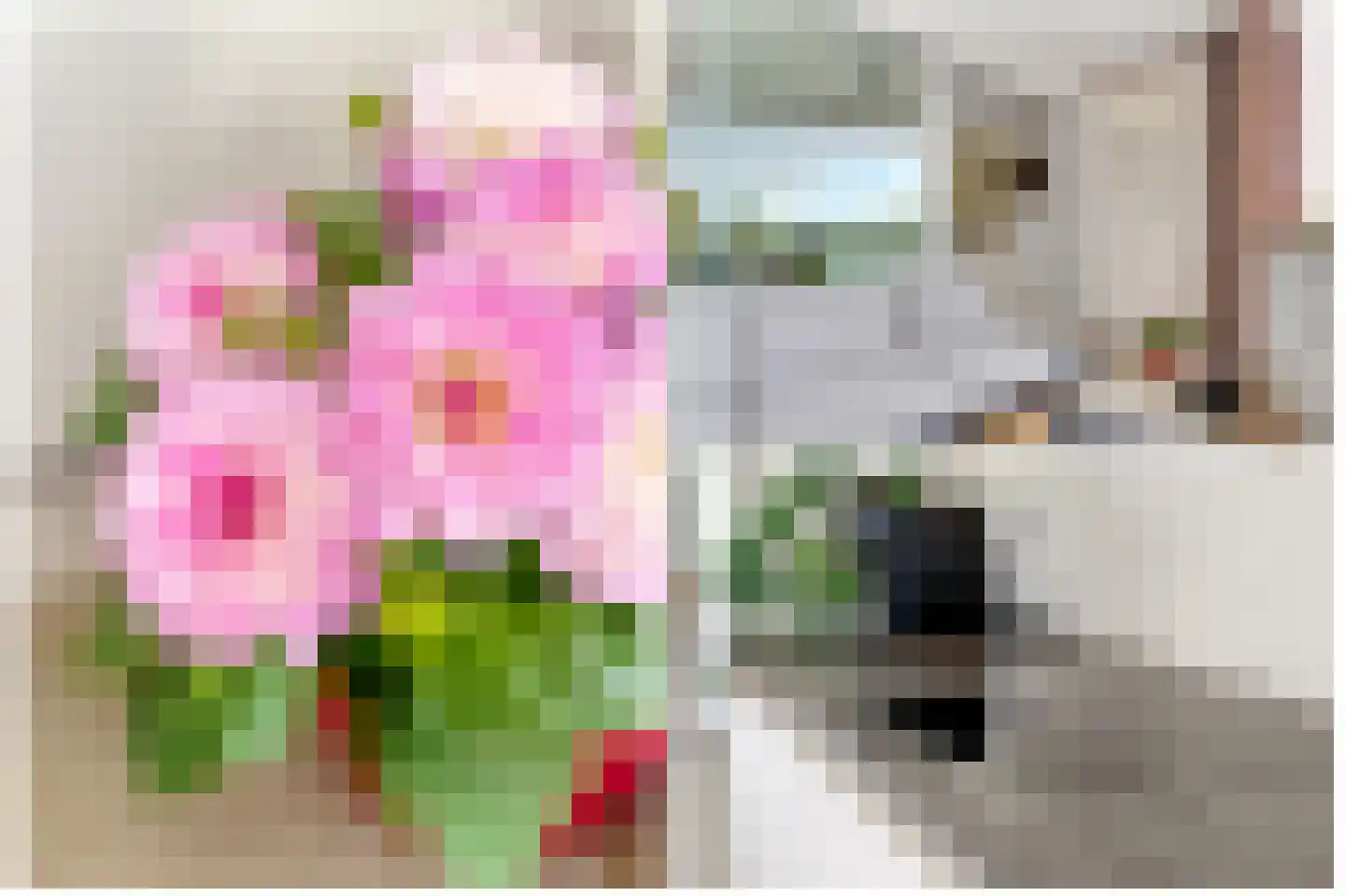 Kreekraklaan 56 Utrecht thumbnail 28