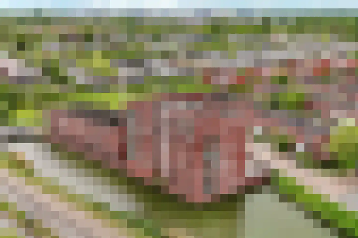 Kreekraklaan 56 Utrecht thumbnail 55