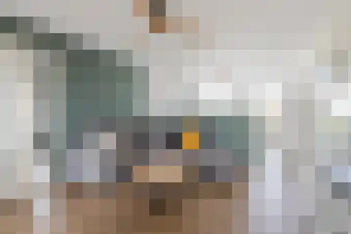 Kreekraklaan 66 Utrecht thumbnail 14