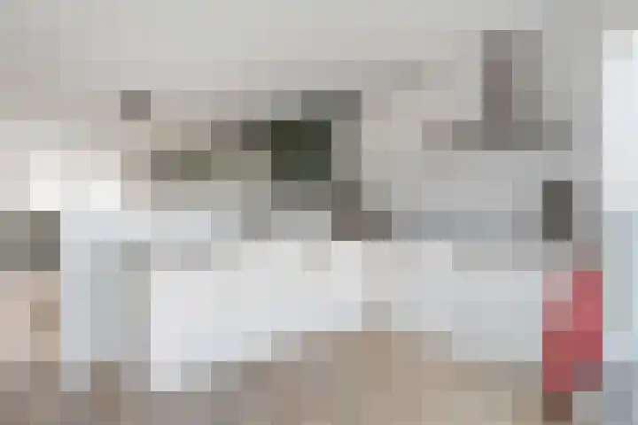Kreekraklaan 66 Utrecht thumbnail 19