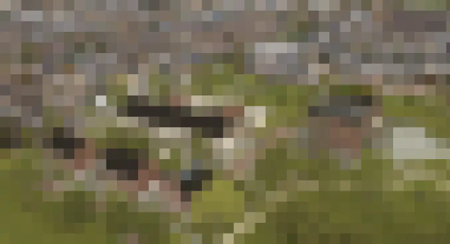 Kreekrug 10 Sint Philipsland thumbnail 7